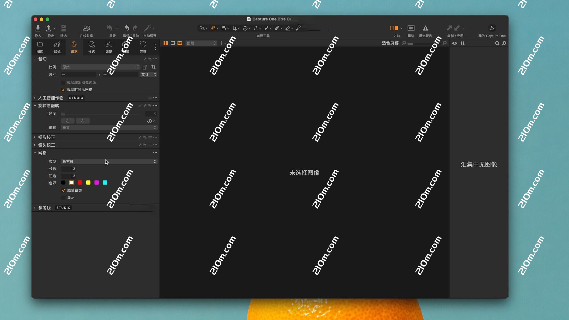 Capture One Studio for mac( RAW 转换器)的截图