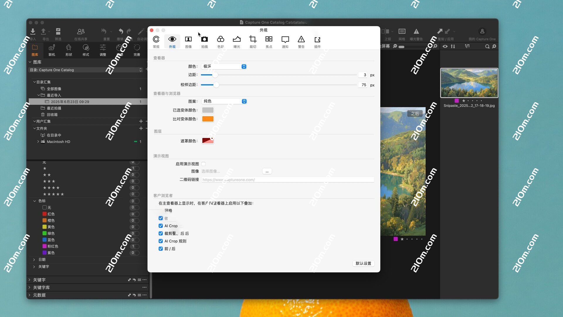 Capture One Studio for mac( RAW 转换器)的截图