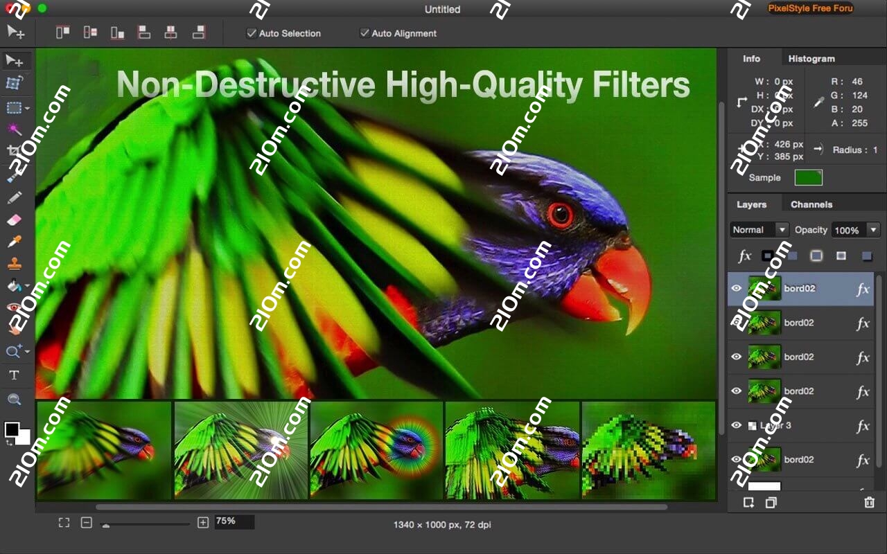 Photo Image Editor Pixelstyle for Mac(图像编辑器)的截图