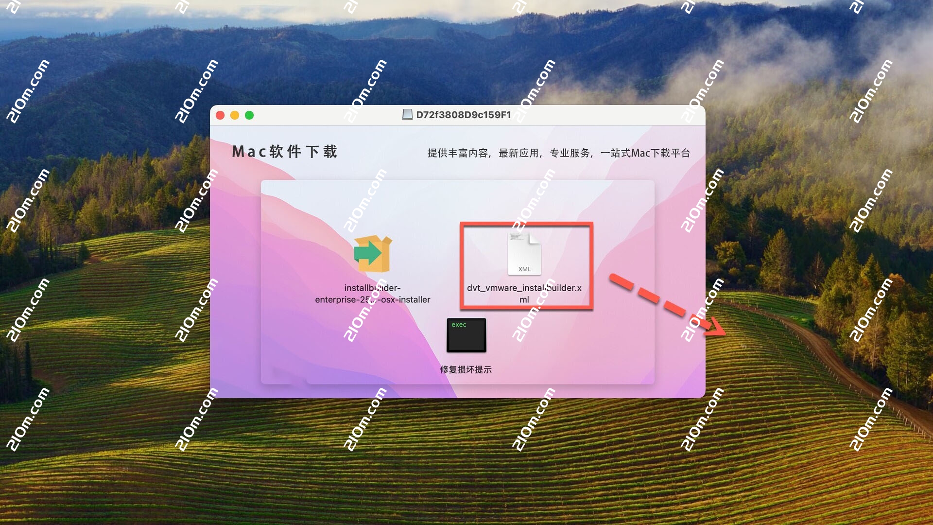 VMware InstallBuilder Enterprise Mac(系统优化更新工具)