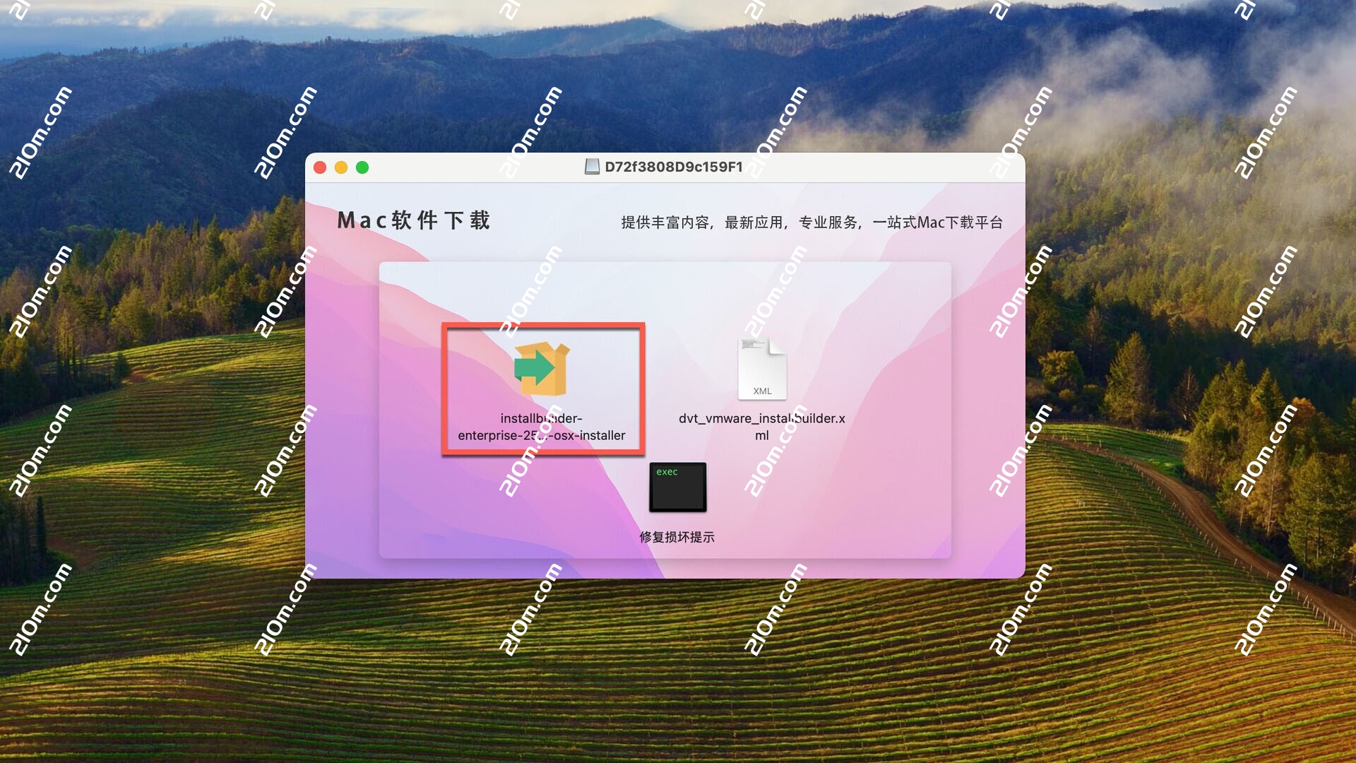 VMware InstallBuilder Enterprise Mac(系统优化更新工具)