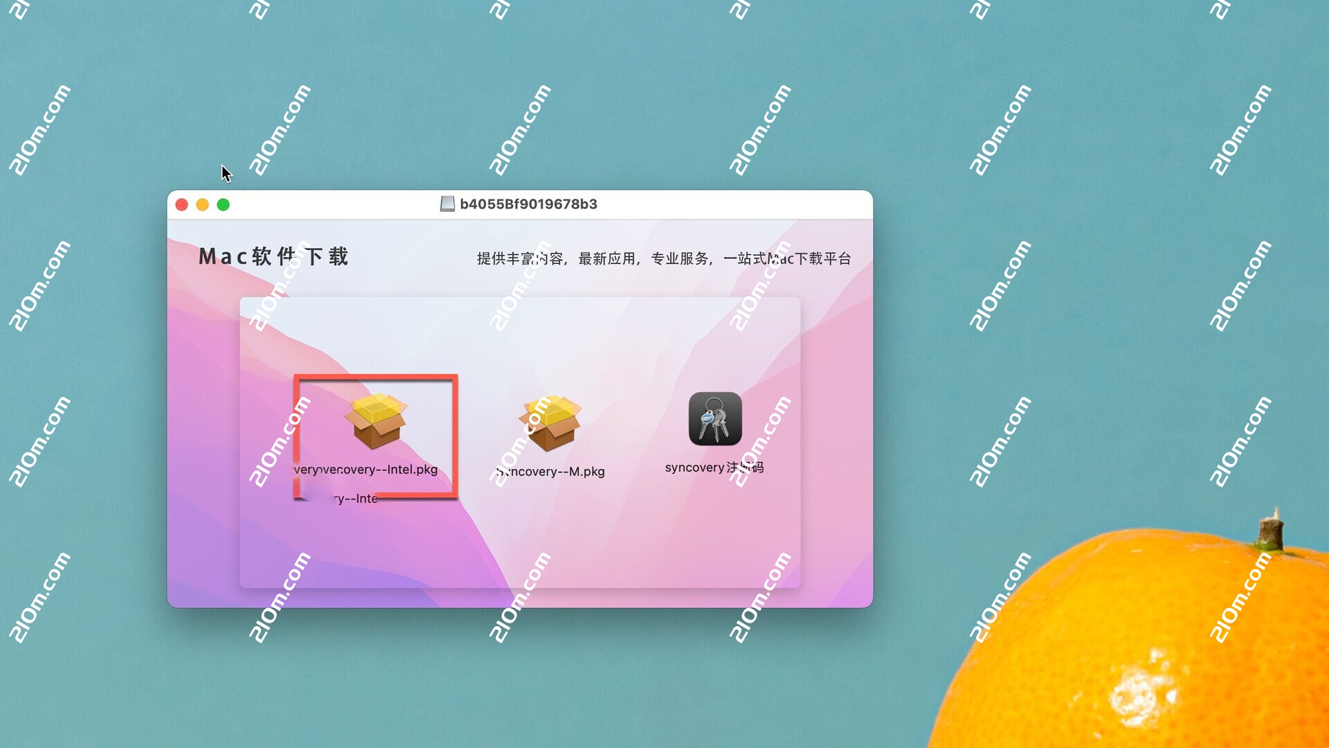 Syncovery for mac(文件备份和同步工具)
