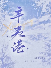 《辛夷港》全集下载