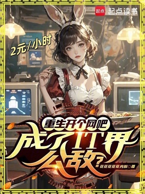 《重生开个网吧,成了IT界公敌?》全集下载 《重生开个网吧,成了IT界公敌?》全集下载