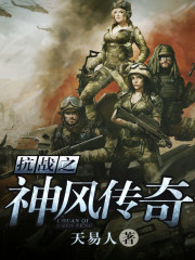 《抗战之神风传奇》全集下载