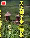 《天上掉下来一棵树》全集下载 《天上掉下来一棵树》全集下载