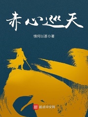《赤心巡天》全集下载