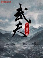 《武夫》全集下载