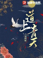《道上青天》全集下载