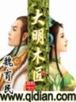 《大明木匠》全集下载