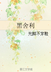 《黑舍利》全集下载 《黑舍利》全集下载