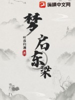 《梦启东梁》全集下载