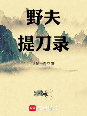 《野夫提刀录》全集下载 《野夫提刀录》全集下载