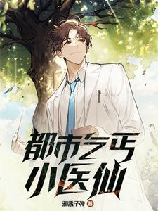 《都市乞丐小医仙》全集下载 《都市乞丐小医仙》全集下载