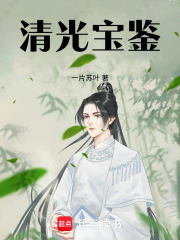 《清光宝鉴》全集下载 《清光宝鉴》全集下载