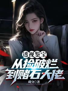 《透视鉴宝：从捡破烂到赌石大佬》全集下载