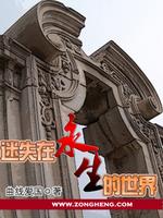 《迷失在《永生》的世界》全集下载