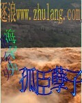 《孤臣孽子》全集下载