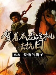 《驾着威龙战机去抗日》全集下载