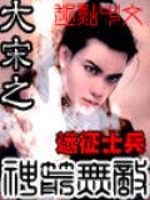 《大宋之神箭无敌》全集下载