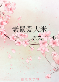 《老鼠爱大米》全集下载 《老鼠爱大米》全集下载