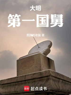 《大明第一国舅》全集下载 《大明第一国舅》全集下载