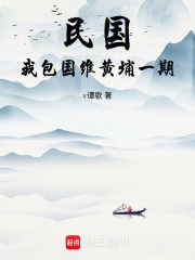 《民国，我包国维黄埔一期》全集下载