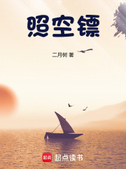 《照空镖》全集下载 《照空镖》全集下载