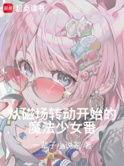 《从磁场转动开始的魔法少女番！》全集下载
