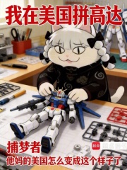 《我在美国拼高达》全集下载 《我在美国拼高达》全集下载