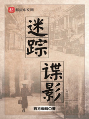 《迷踪谍影》全集下载