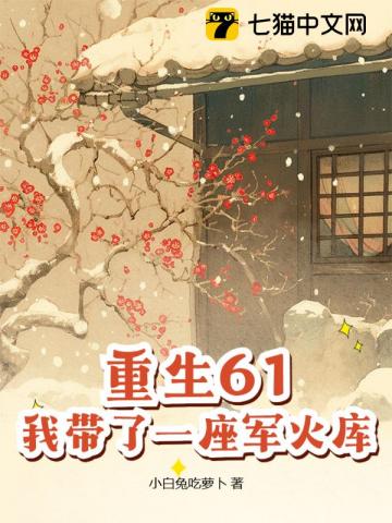 《重生61,我带了一座军火库》全集下载 《重生61,我带了一座军火库》全集下载