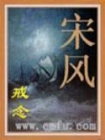 《宋风》全集下载