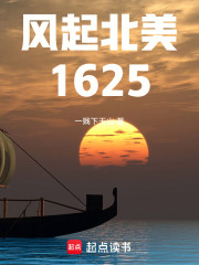 《风起北美1625》全集下载