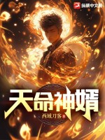 《天命神婿》全集下载