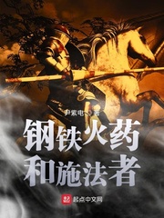 《钢铁火药和施法者》全集下载 《钢铁火药和施法者》全集下载