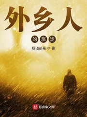 《外乡人的旅途》全集下载