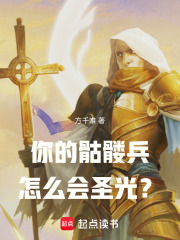 《你的骷髅兵怎么会圣光？》全集下载