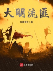《大明流匪》全集下载