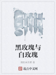 《黑玫瑰与白玫瑰》全集下载 《黑玫瑰与白玫瑰》全集下载