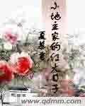 《小地主家的红火日子》全集下载 《小地主家的红火日子》全集下载