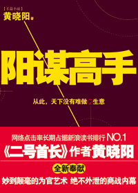 《阳谋高手》全集下载
