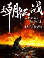 《王朝征战》全集下载