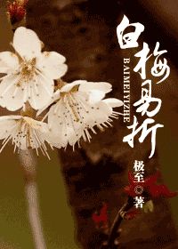 《白梅易折》全集下载 《白梅易折》全集下载
