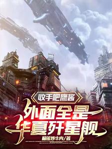 《收手吧鹰酱，外面全是华夏歼星舰》全集下载
