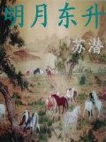 《明月东升》全集下载 《明月东升》全集下载