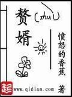 《赘婿》全集下载