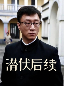 《潜伏后续》全集下载 《潜伏后续》全集下载