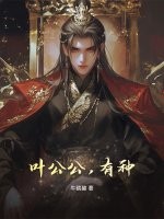 《叶公公，有种！》全集下载