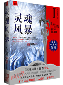 《灵魂风暴》全集下载 《灵魂风暴》全集下载